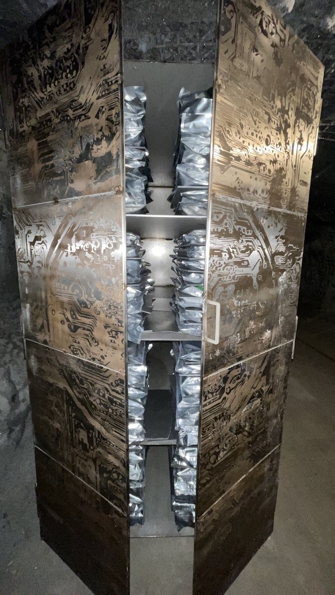 arcticvault4 (1).jpeg